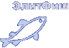 Свежемороженная рыба